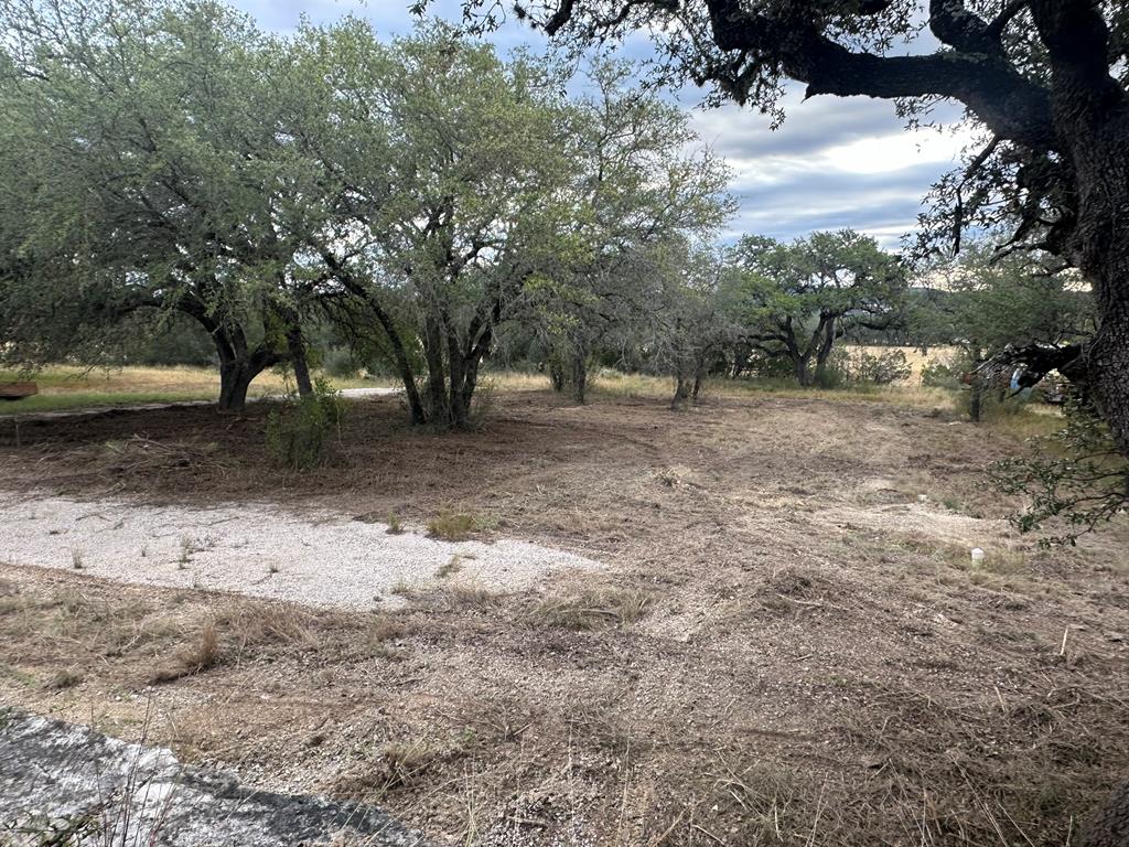 52 Timbers Drive Leakey, TX 78873 - Photo 16 of 28 a view of a yard with a tree