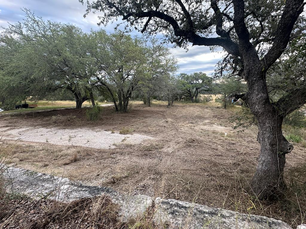 52 Timbers Drive Leakey, TX 78873 - Photo 17 of 28 a view of a yard with a tree