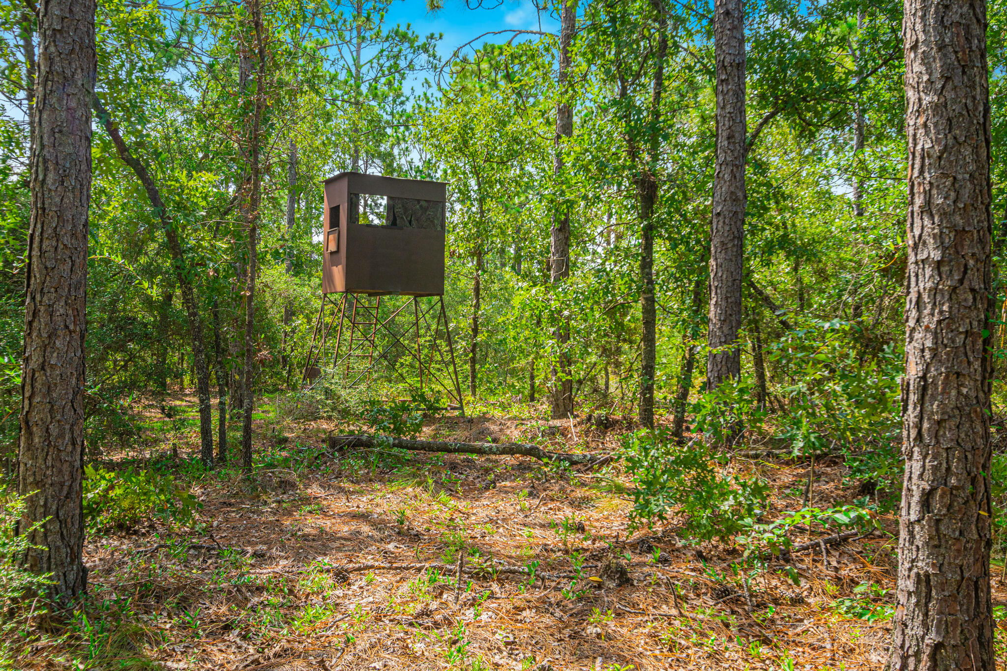 5263 Coy Burgess Loop DeFuniak Springs, FL 32435 - Photo 43 of 57 a sign that is sitting in front of a forest