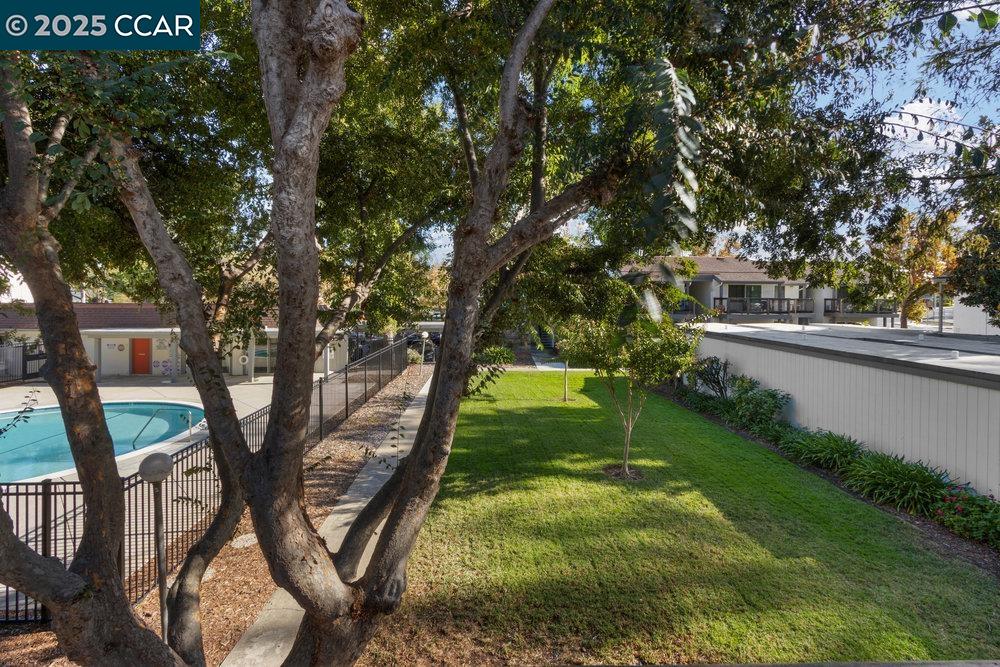 4081 Clayton Road, Unit 218 Concord, CA 94521 - Photo 17 of 26 a view of backyard with large trees