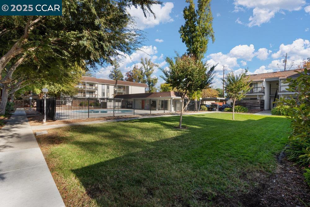 4081 Clayton Road, Unit 218 Concord, CA 94521 - Photo 20 of 26 a view of a house with a big yard plants and large trees