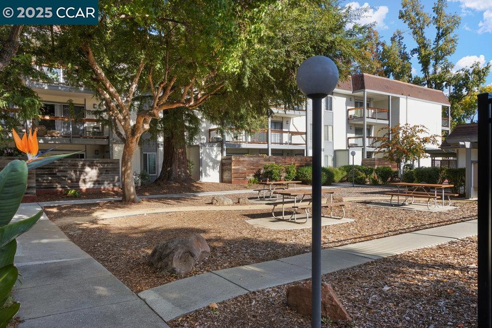 4081 Clayton Road, Unit 218 Concord, CA 94521 - Photo 21 of 26 a view of a street with a building on the roadside