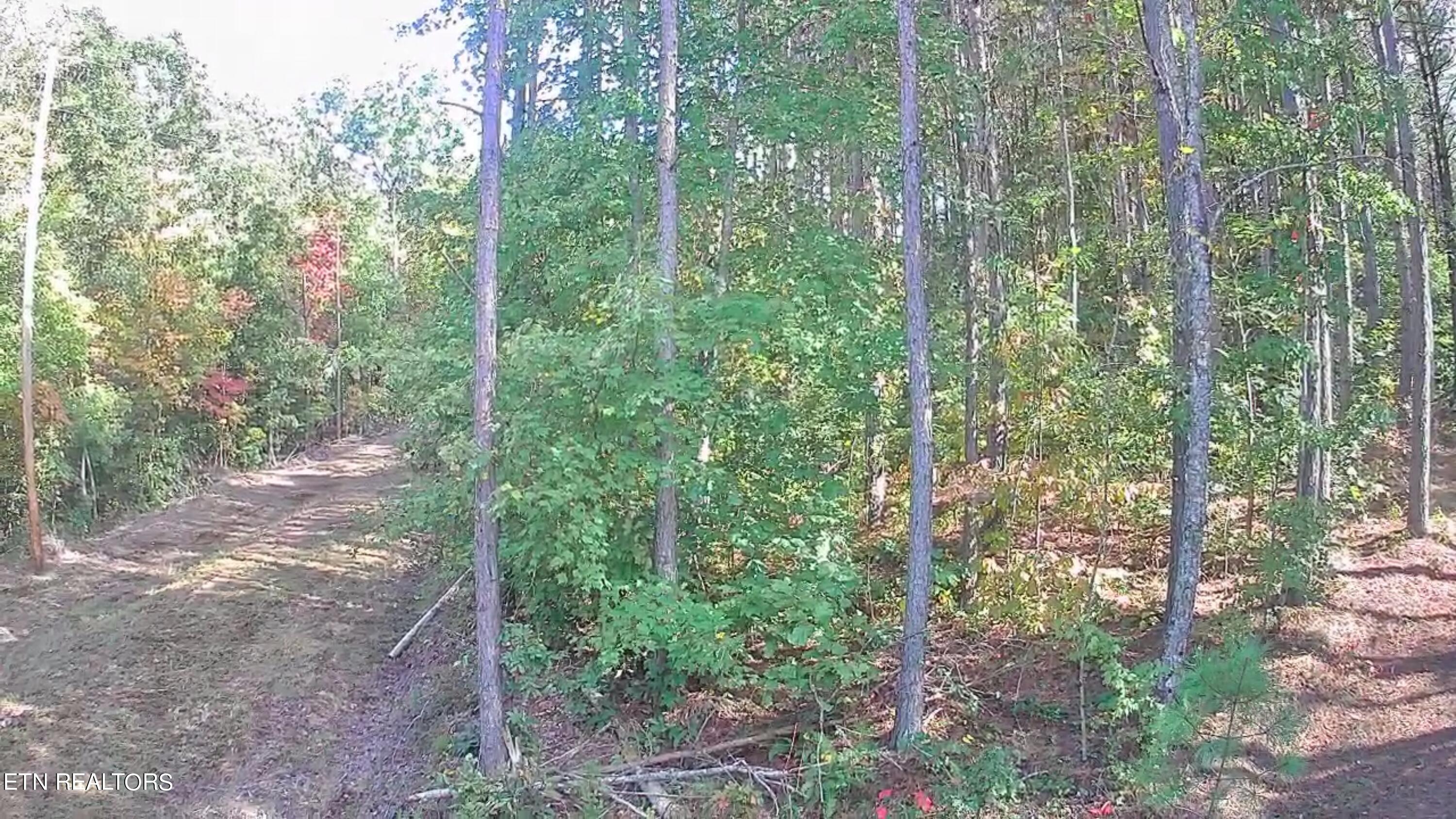 Burnt Mill Road Allardt, TN 38504 - Photo 9 of 17 IMG_2614
