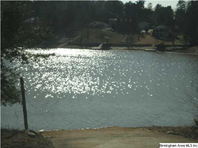 98 Ernest Road Wedowee, AL 36278 - Photo 2 of 17