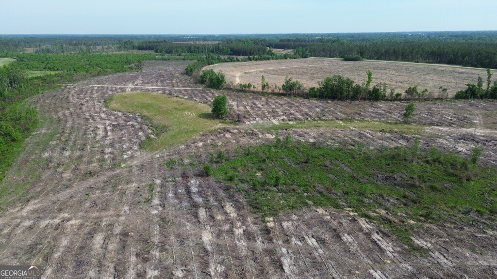 0 Bunn Store Road, Unit TRACT 4 Midville, GA 30441 - Photo 6 of 16
