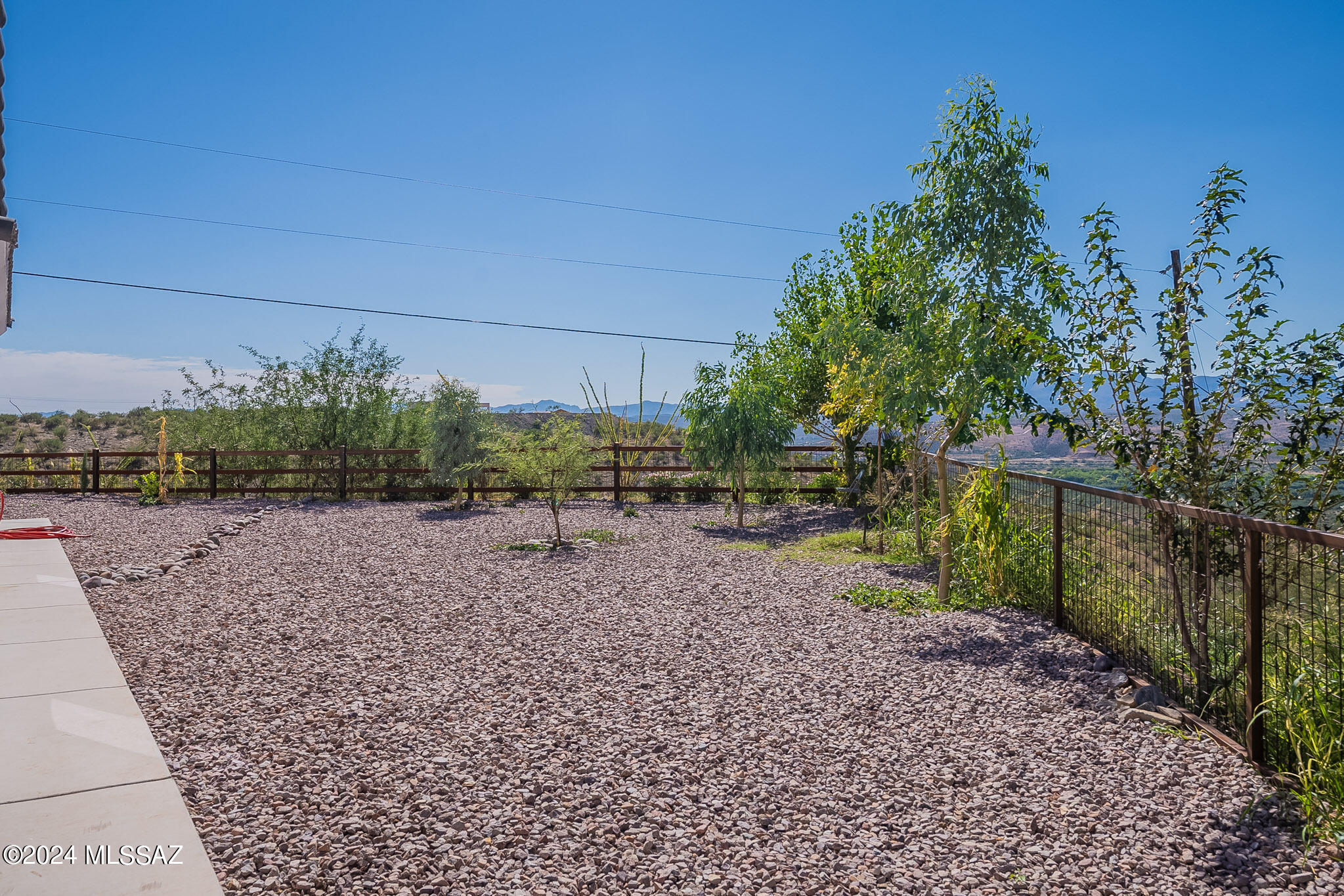 176 Avenida Ostion Rio Rico, AZ 85648 - Photo 47 of 48 a view of a yard with plants and trees