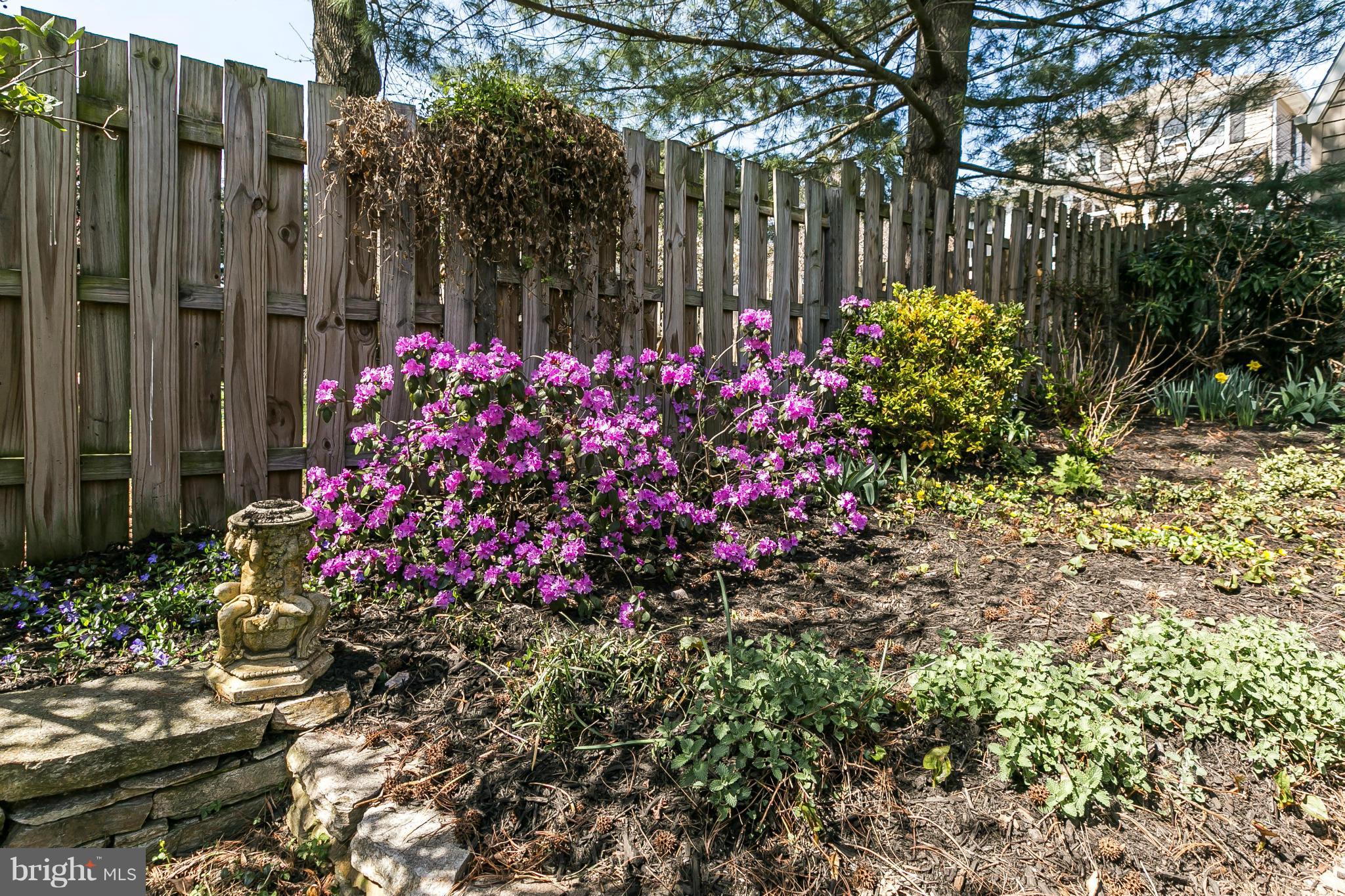 516 Anneslie Road Baltimore, MD 21212 - Photo 22 of 24 Garden