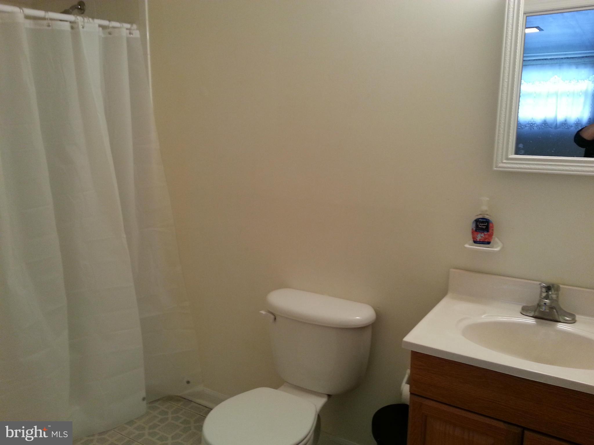 1213 Lee Road Sterling, VA 20164 - Photo 23 of 30 3rd Bath in Basement