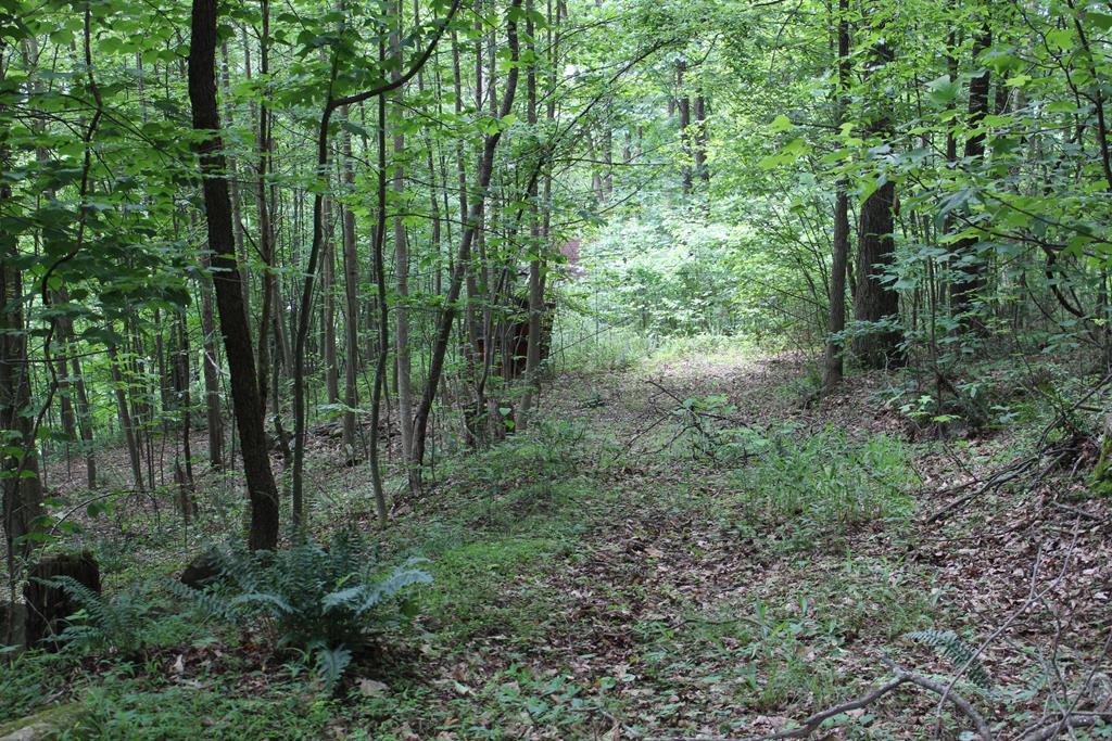 Tbd Veterans Road, Unit 2 Broadford, VA 24316 - Photo 4 of 18 Gallery Image 4