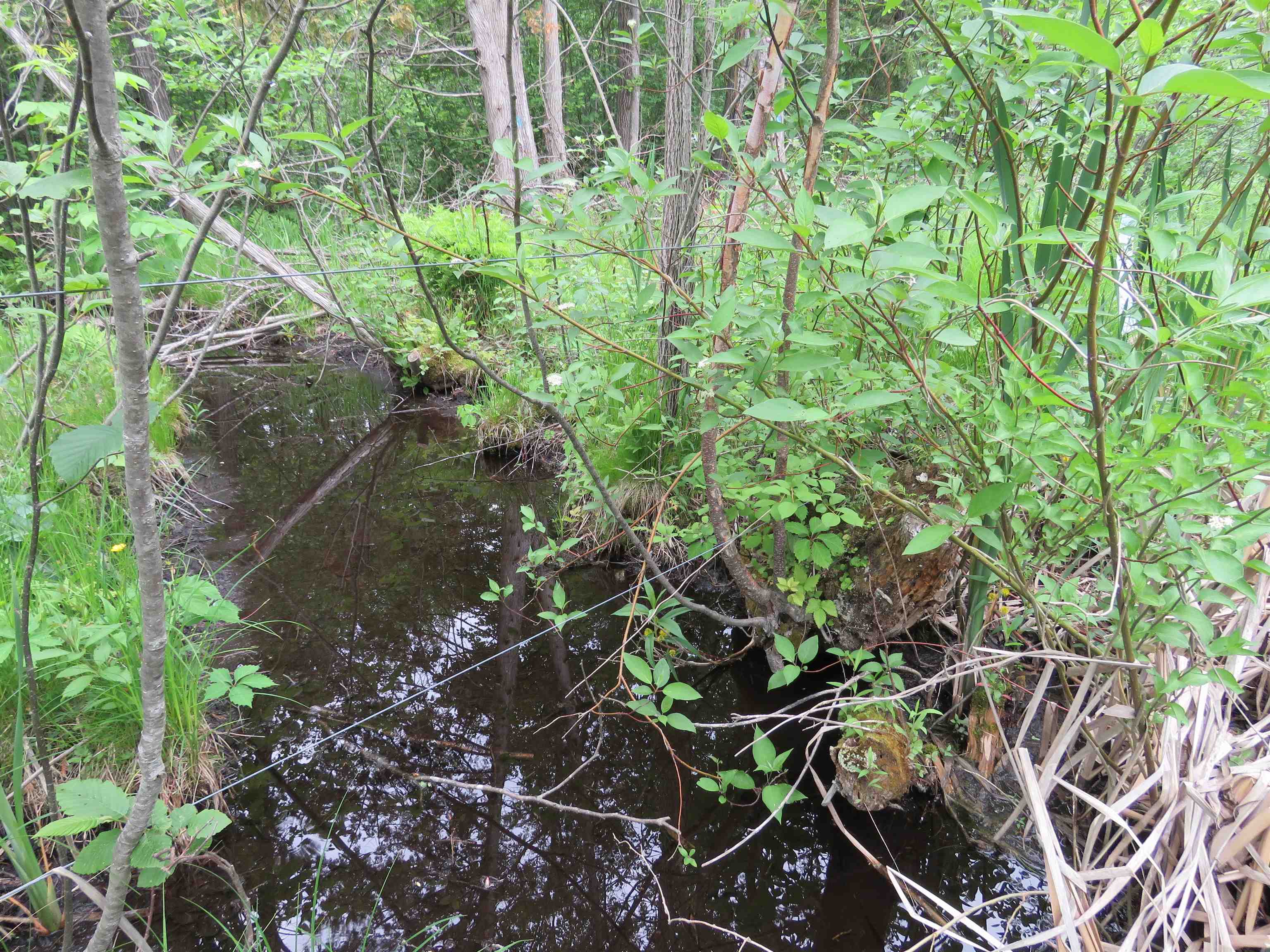 3225 North 39 Road Manton, MI 49663 - Photo 31 of 33 1935166-0528d941-24b6-4a9a-8ded-8c3bc414b329.JPG