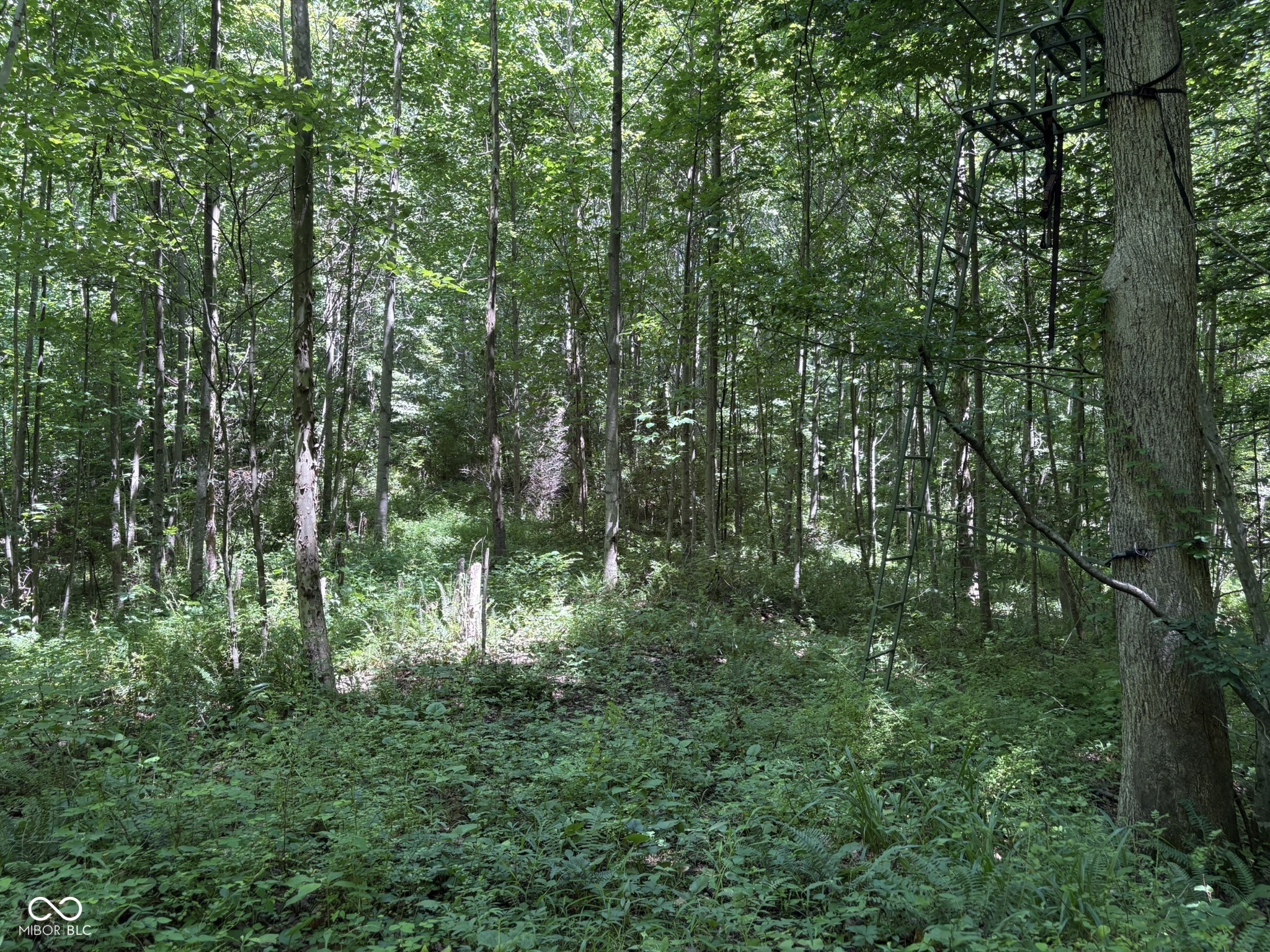 9713 East Birch Road Bloomfield, IN 47424 - Photo 13 of 50