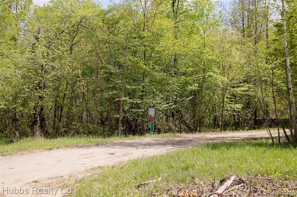 6204 Mayville Road Clifford, MI 48727 - Photo 6 of 16 Gallery Image 6