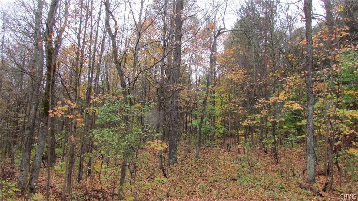 0 North To South Road Brantingham, NY 13312 - Photo 3 of 20 Gallery Image 3