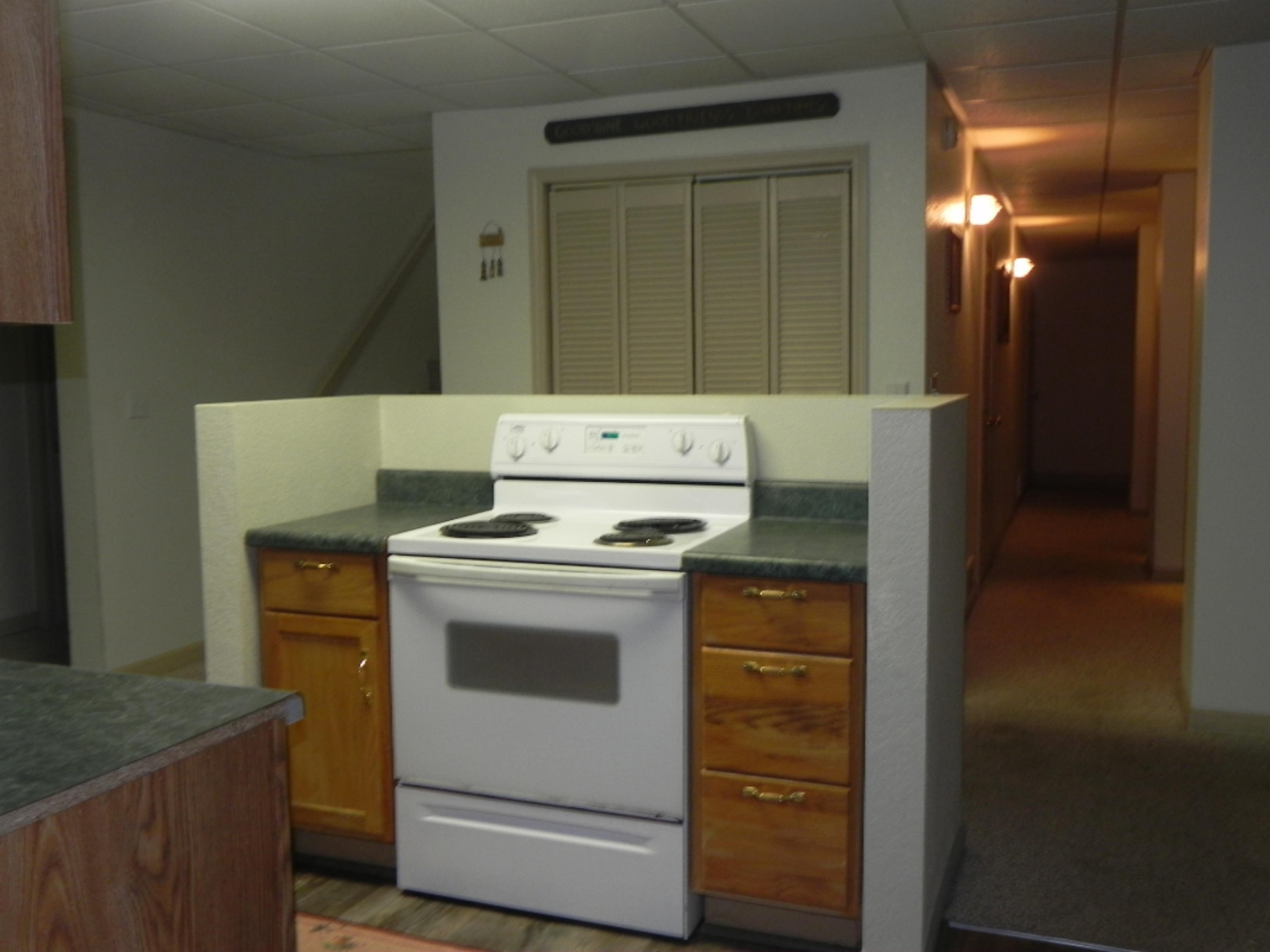 38663 76th Avenue Decatur, MI 49045 - Photo 22 of 37 DSCN7145