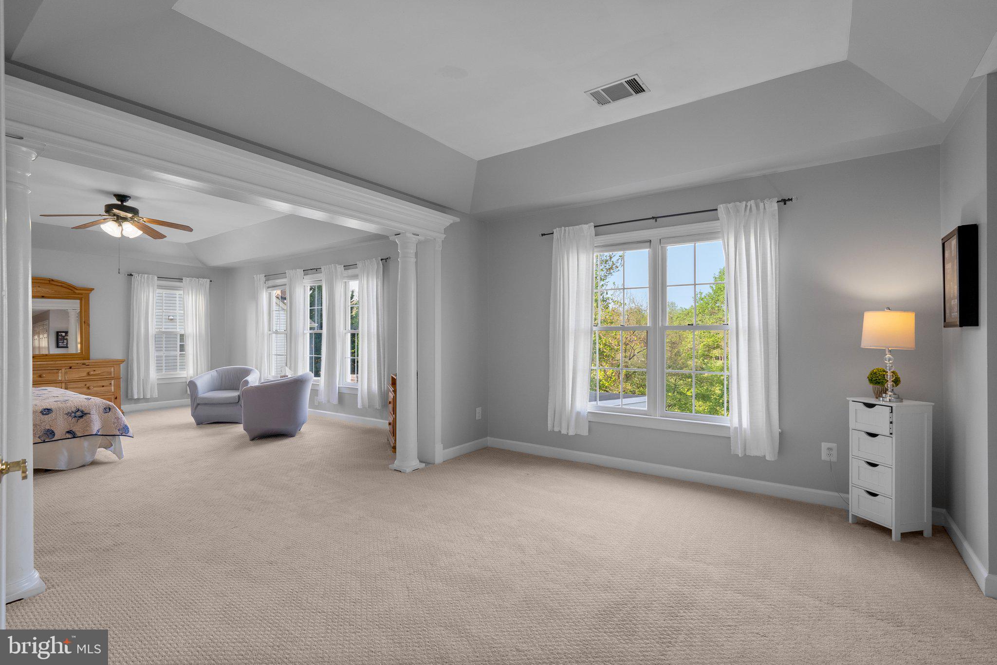 19009 Old Baltimore Road Brookeville, MD 20833 - Photo 28 of 96 Primary bedroom-columns, mouldings & ceiling fan.