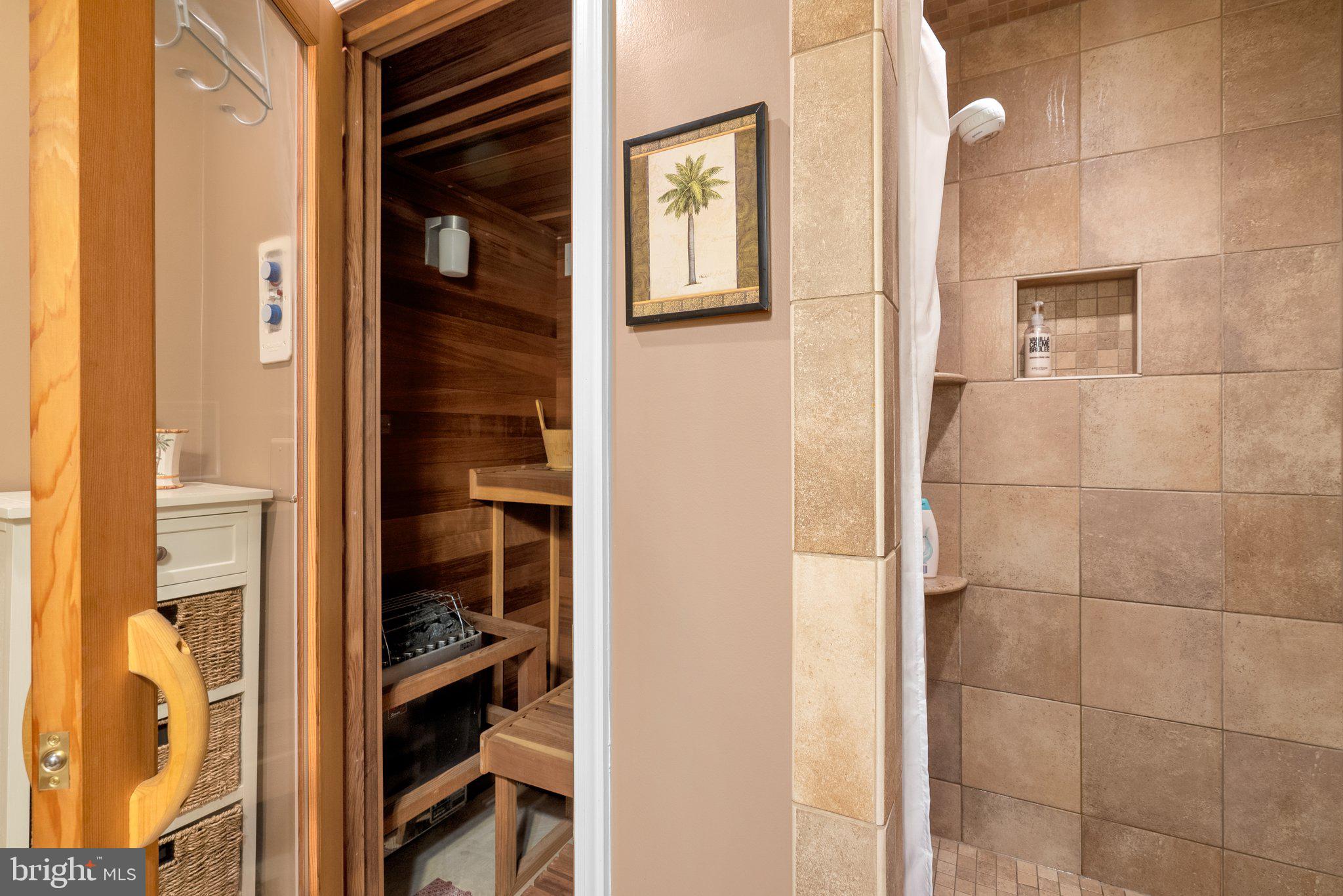 19009 Old Baltimore Road Brookeville, MD 20833 - Photo 45 of 96 Sauna and shower on loer level.