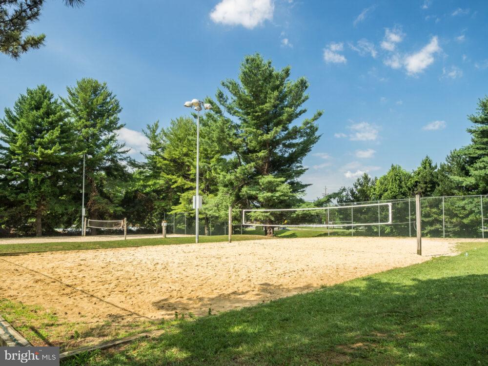 19009 Old Baltimore Road Brookeville, MD 20833 - Photo 65 of 96 Olney Manor Park Volleyball