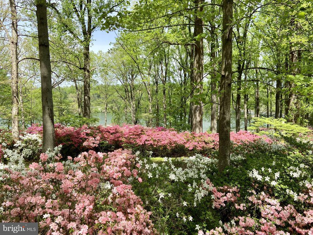 19009 Old Baltimore Road Brookeville, MD 20833 - Photo 71 of 96 Azalea Gardens at Brighton Dam