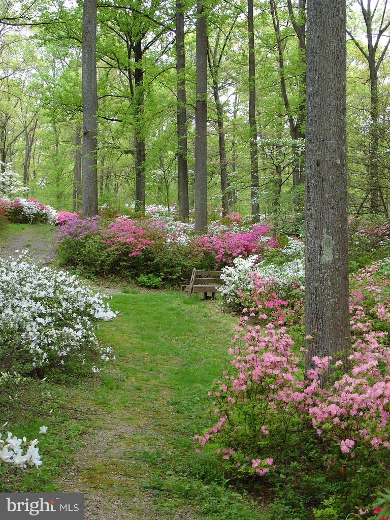 19009 Old Baltimore Road Brookeville, MD 20833 - Photo 72 of 96