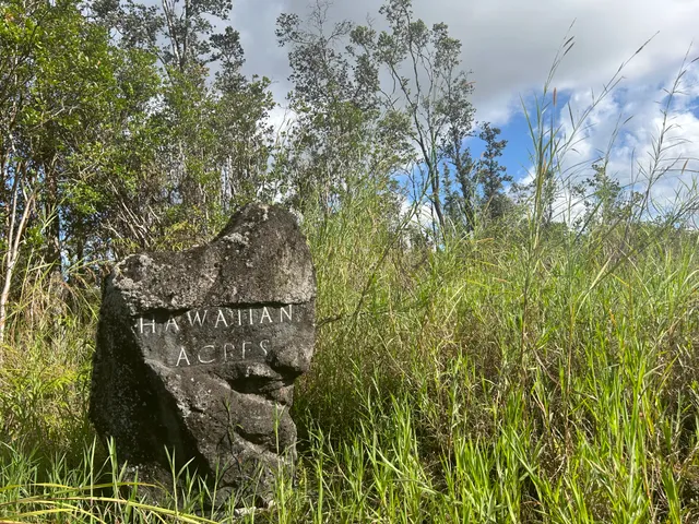 a view of a pathway of a building