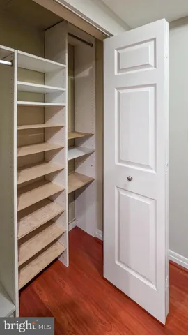 a view of walk in closet with empty racks