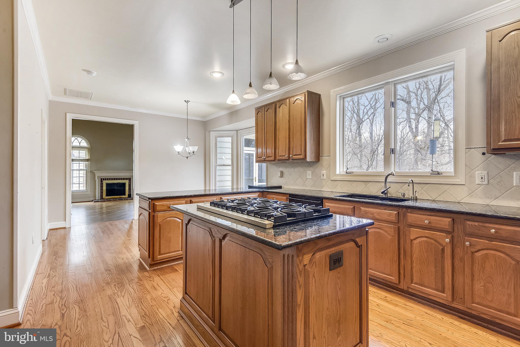 11330 Woodbrook Lane Reston, VA 20194 - Photo 12 of 70 View into the family room from the kitchen