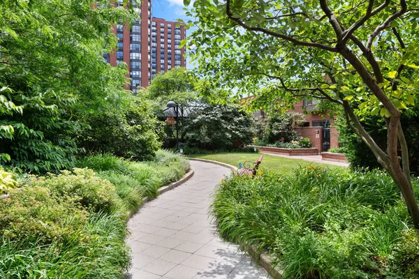 a view of a yard with plants and large trees