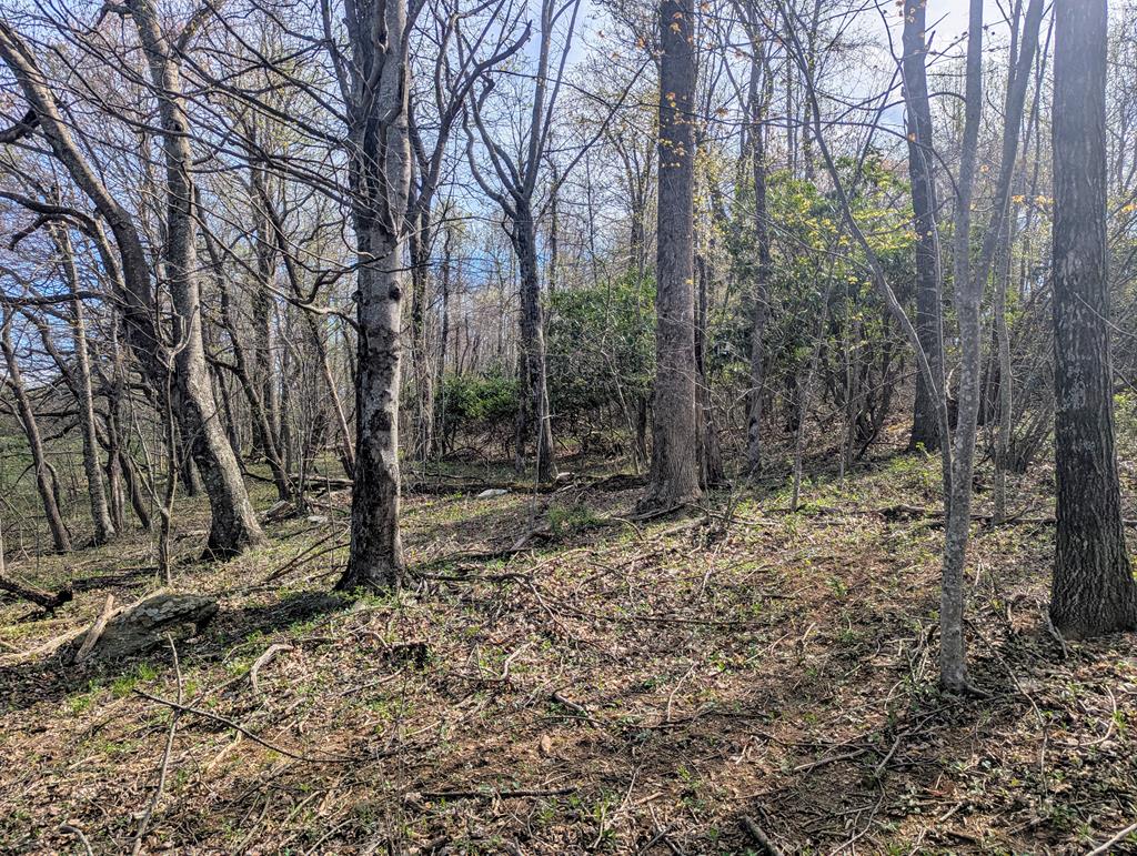 0 Cloudbreak Road Meadows Of Dan, VA 24120 - Photo 12 of 14 Gallery Image 12