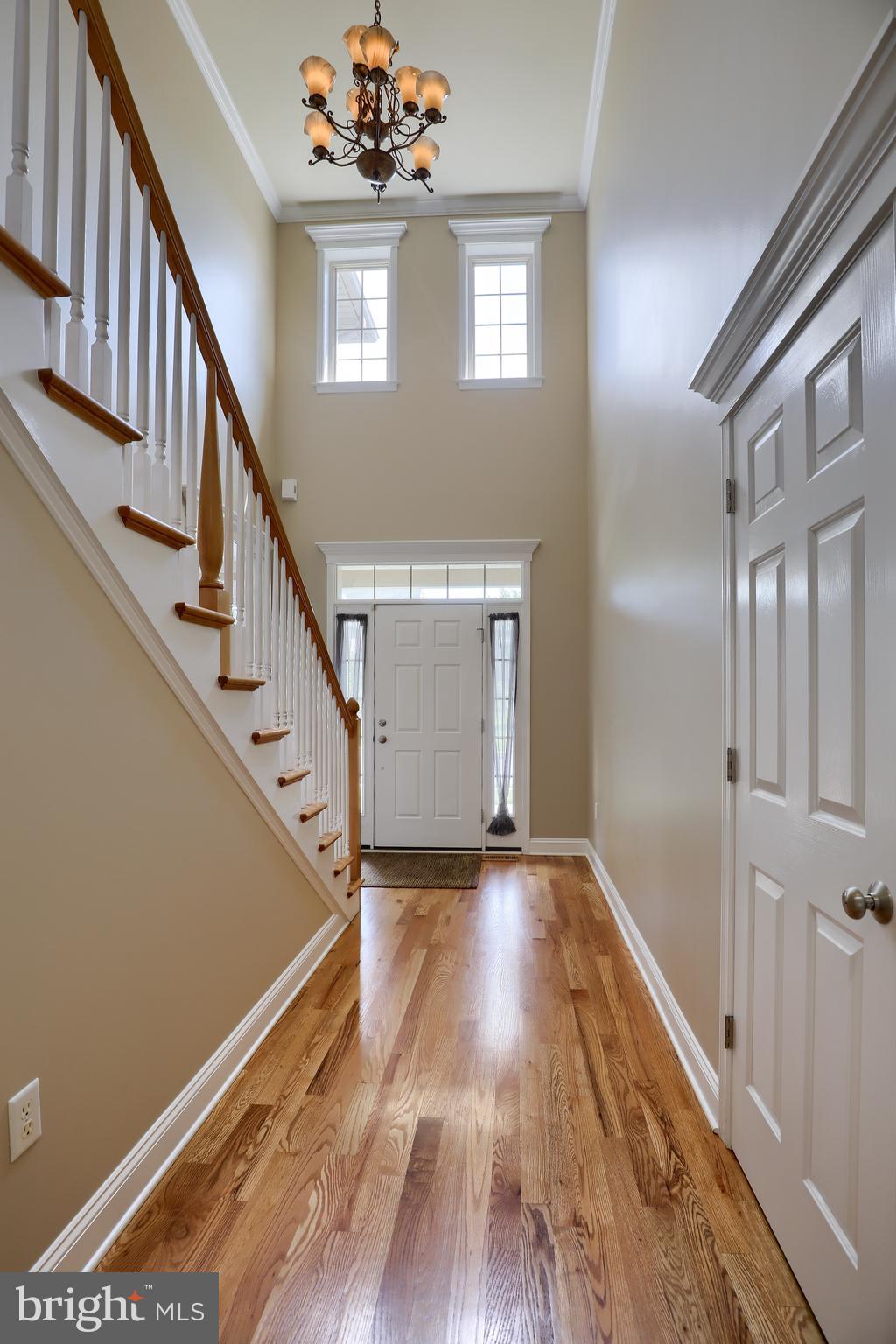 319 Bowyer Lane Lititz, PA 17543 - Photo 17 of 30 Two-story foyer
