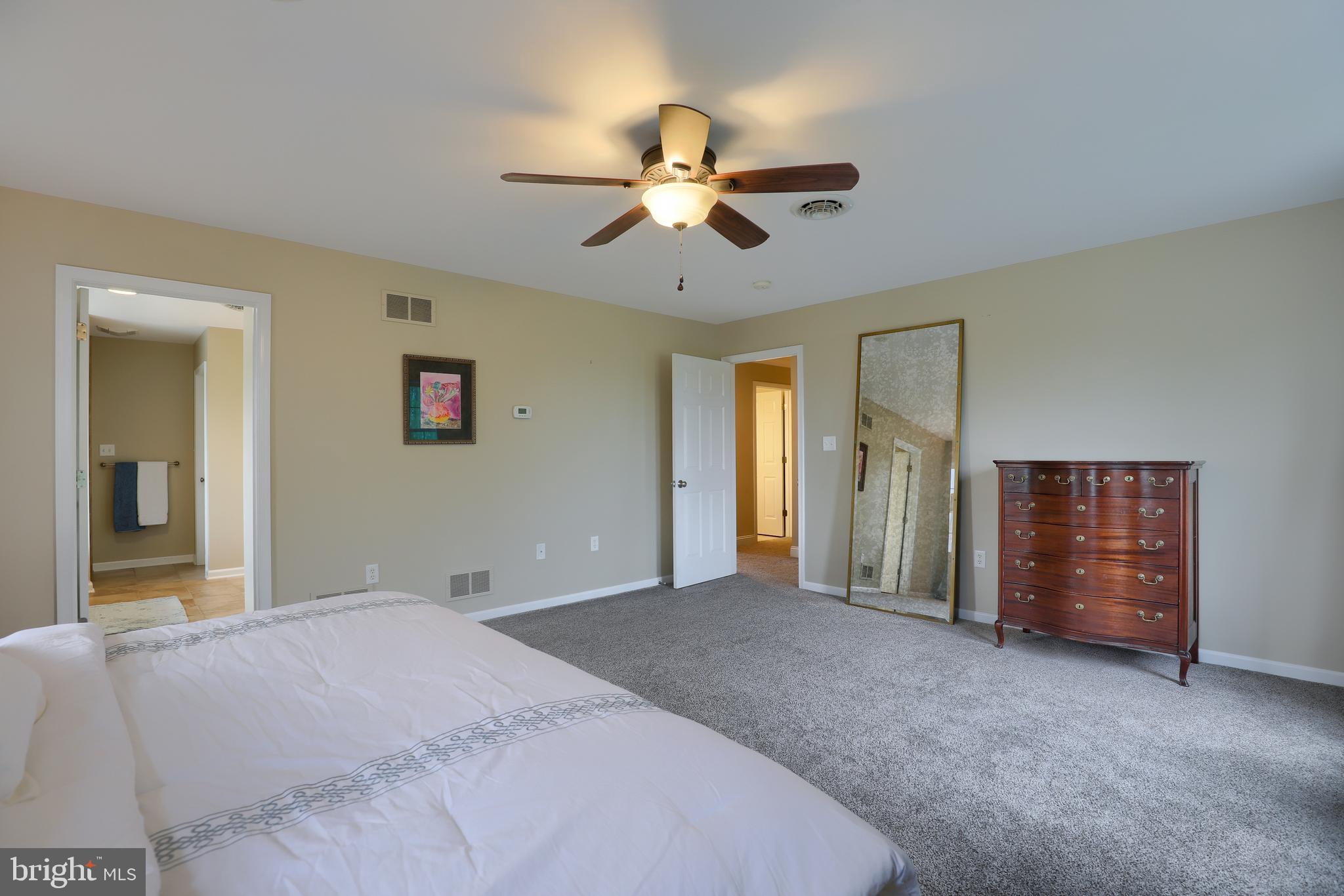319 Bowyer Lane Lititz, PA 17543 - Photo 19 of 30 Owner's bedroom with large private bathroom
