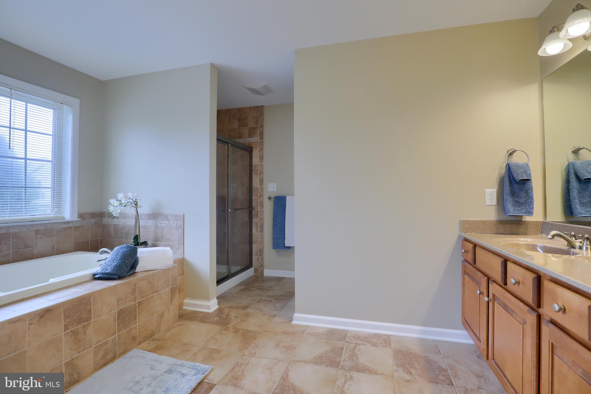 319 Bowyer Lane Lititz, PA 17543 - Photo 20 of 30 Owner's bathroom