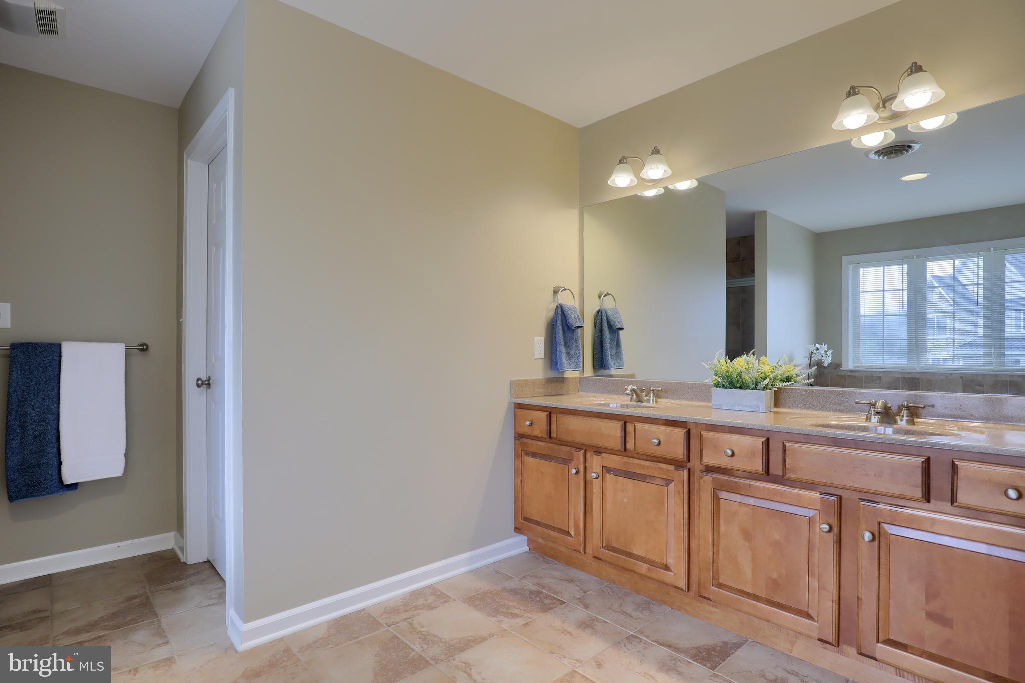 319 Bowyer Lane Lititz, PA 17543 - Photo 21 of 30 Owner's bathroom with access to walk-in closet