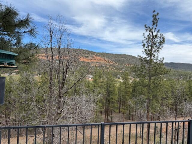 9773 Juniper Road Strawberry, AZ 85544 - Photo 2 of 18