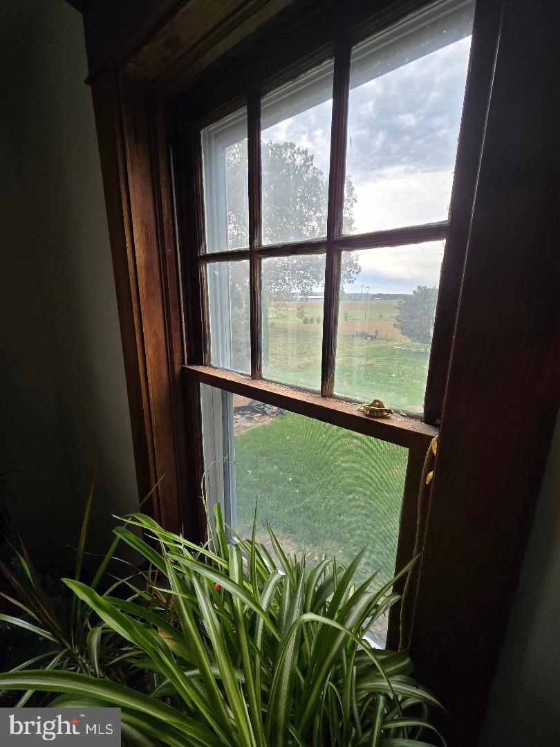 201 South Barbara Street Mount Joy, PA 17552 - Photo 13 of 13 a window with a plant in front of a window