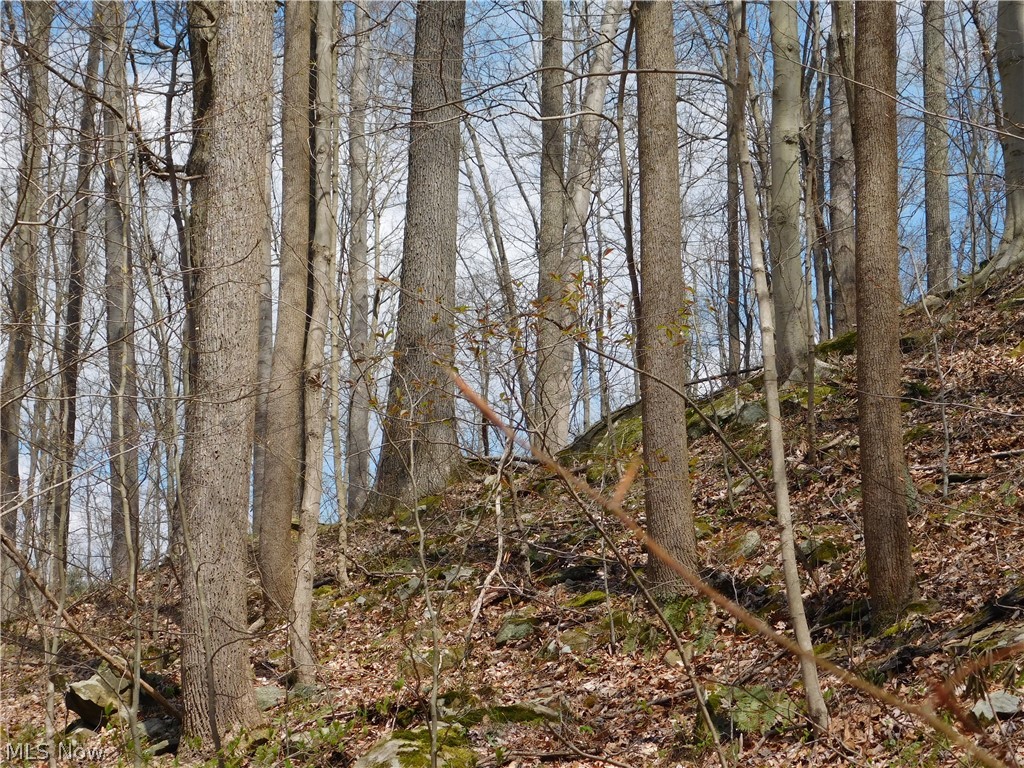 Rado Ridge Road Caldwell, OH 43724 - Photo 33 of 35 Gallery Image 33