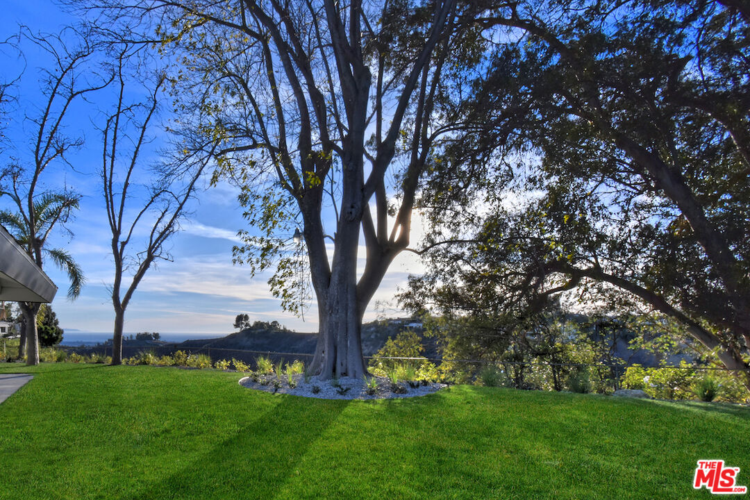 2037 Stradella Road Los Angeles, CA 90077 - Photo 29 of 33 a view of a garden with a tree