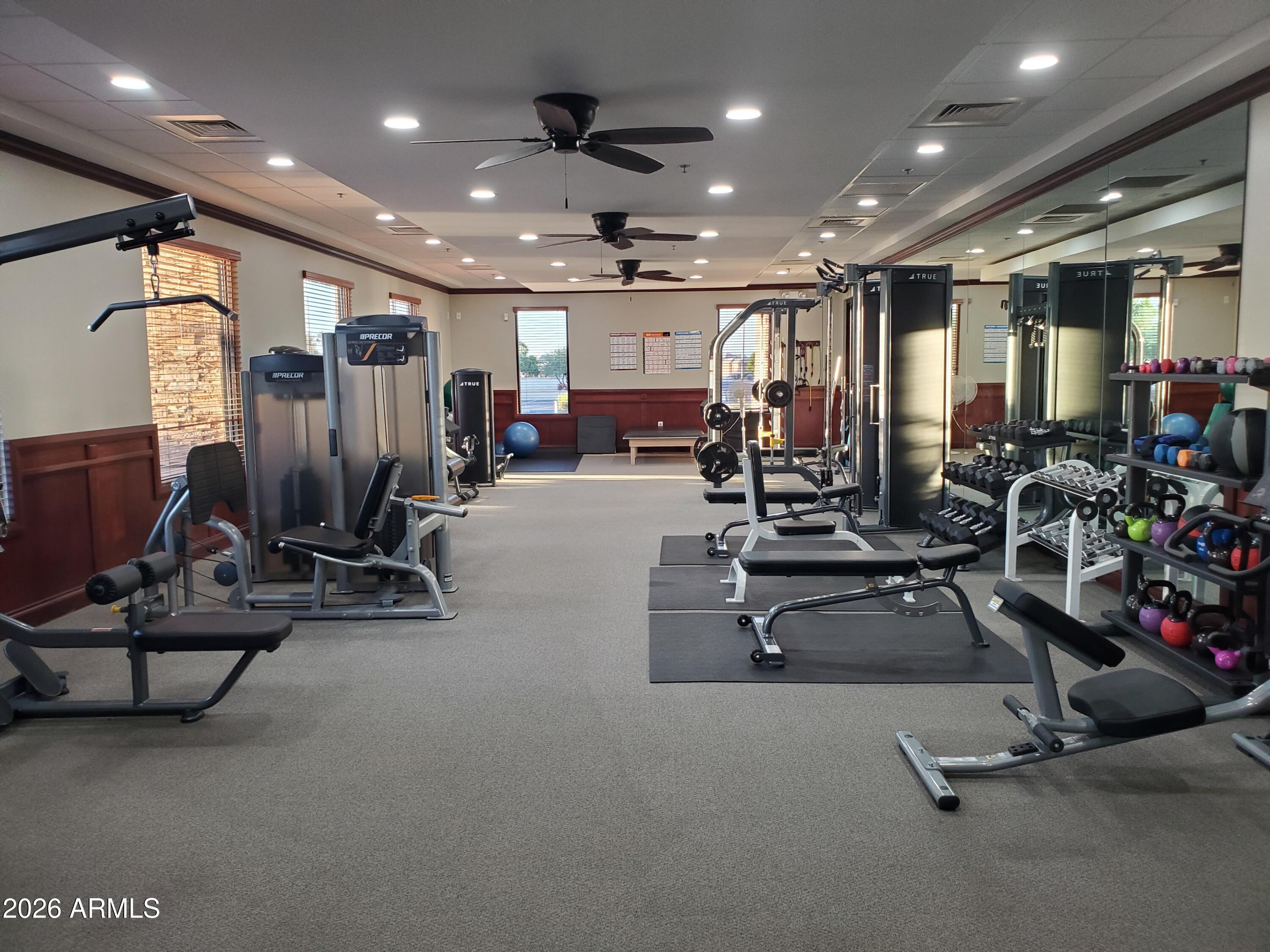 6317 South Pinaleno Place Chandler, AZ 85249 - Photo 36 of 45 a view of a room with gym equipment