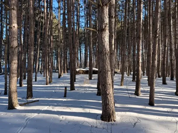 $245,000 | 6175 Peninsula Road, Makinen, MN 55763