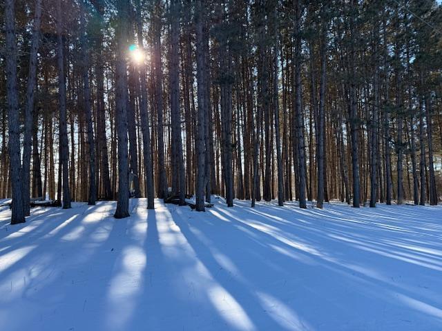 6175 Peninsula Road Makinen, MN 55763 - Photo 27 of 28