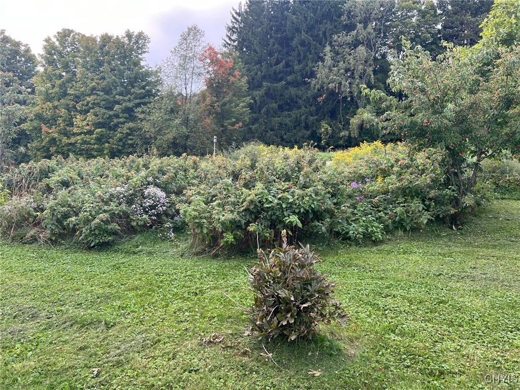 9996 Campbell Road Paris, NY 13456 - Photo 28 of 34