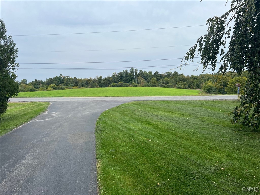 9996 Campbell Road Paris, NY 13456 - Photo 34 of 34 Frontyard view
