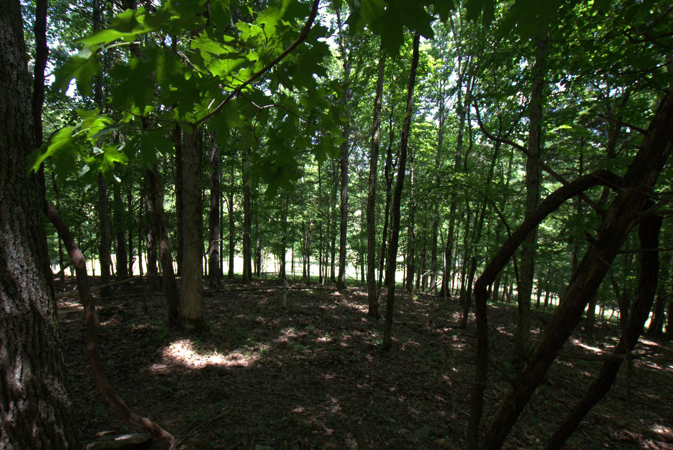 3216 Springplace Road Lewisburg, TN 37091 - Photo 13 of 22 Gallery Image 13