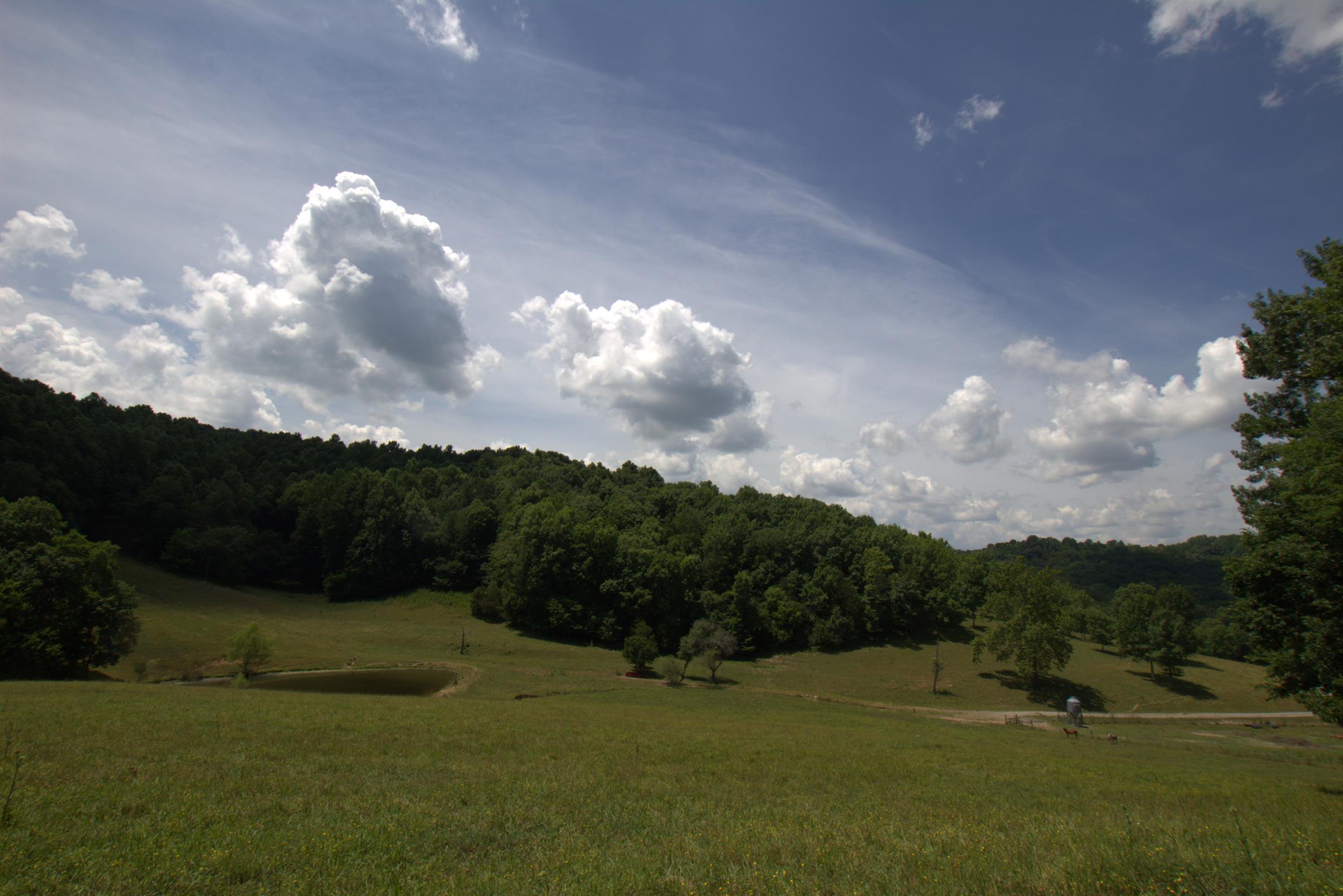 3216 Springplace Road Lewisburg, TN 37091 - Photo 17 of 22 Gallery Image 17
