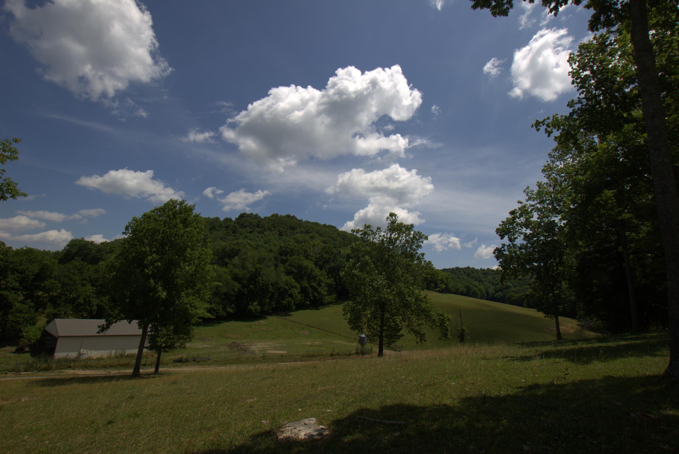 3216 Springplace Road Lewisburg, TN 37091 - Photo 21 of 22 Gallery Image 21