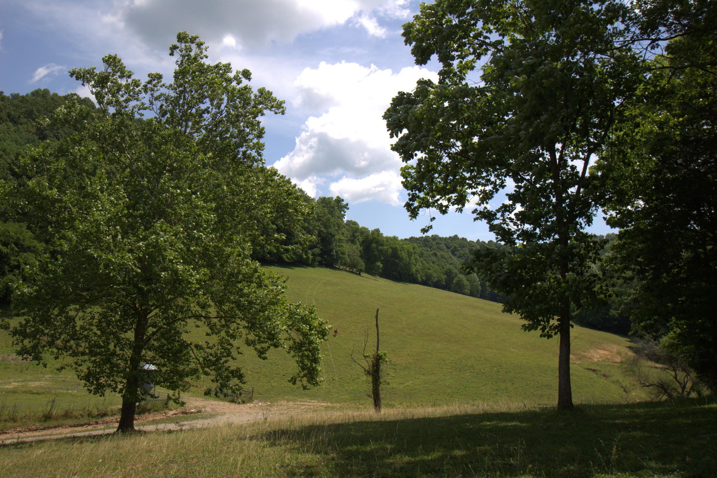 3216 Springplace Road Lewisburg, TN 37091 - Photo 22 of 22 Gallery Image 22