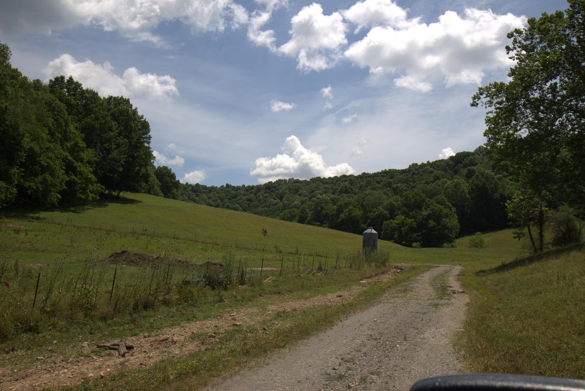 3216 Springplace Road Lewisburg, TN 37091 - Photo 4 of 22 Gallery Image 4