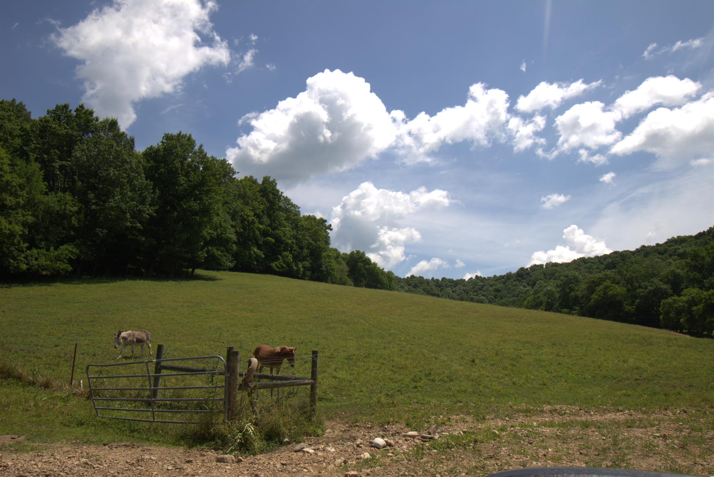 3216 Springplace Road Lewisburg, TN 37091 - Photo 5 of 22 Gallery Image 5