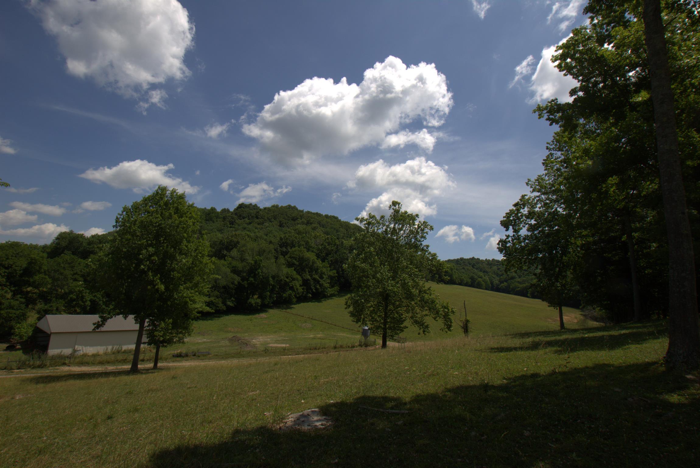 3216 Springplace Road Lewisburg, TN 37091 - Photo 6 of 22 Gallery Image 6