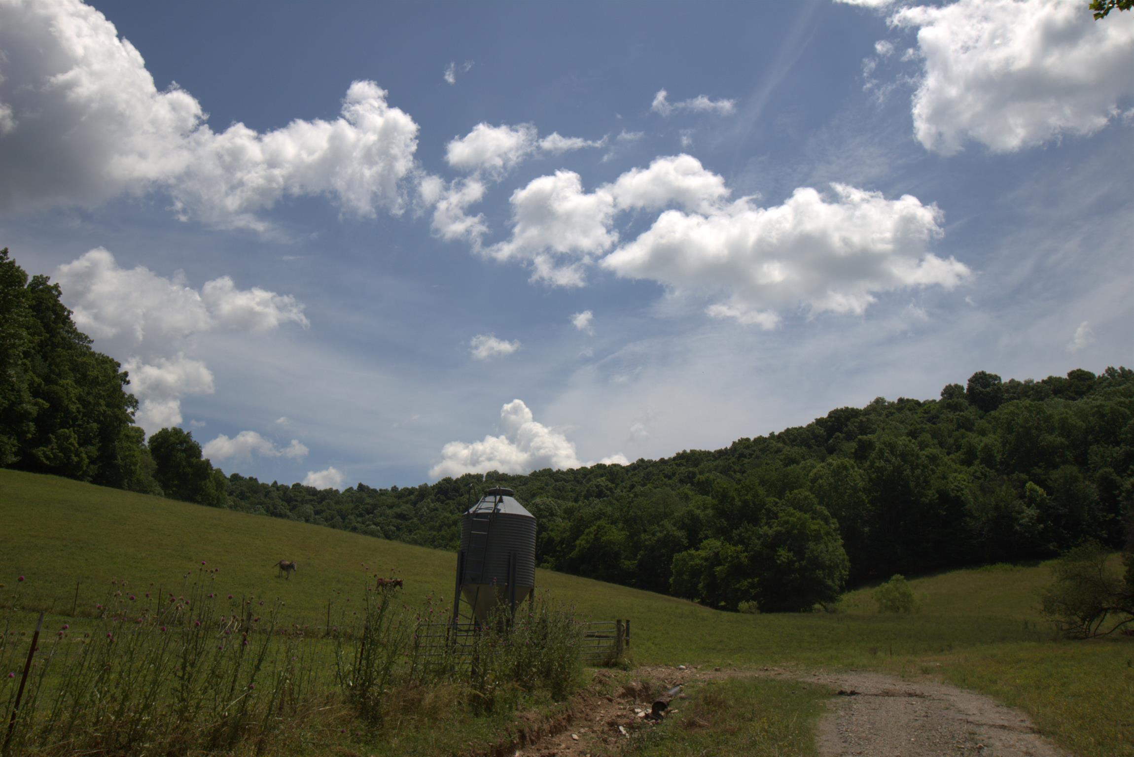 3216 Springplace Road Lewisburg, TN 37091 - Photo 7 of 22 Gallery Image 7