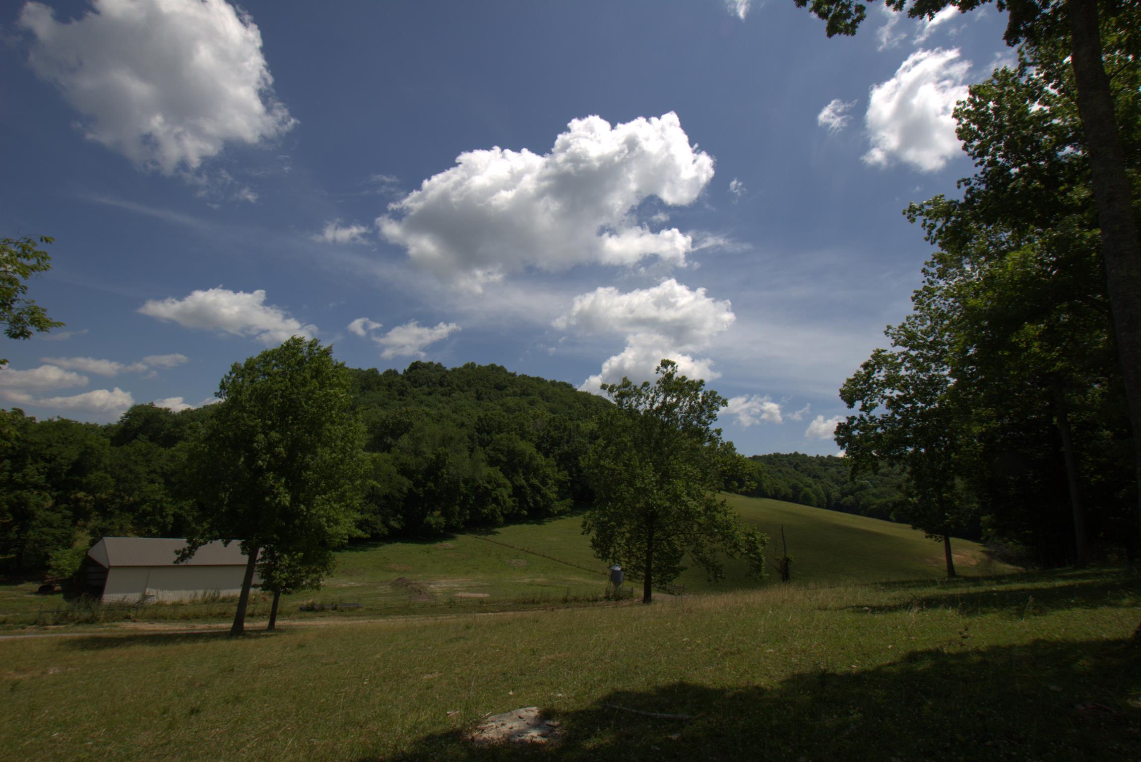 3216 Springplace Road Lewisburg, TN 37091 - Photo 8 of 22 Gallery Image 8